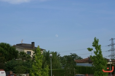 CONCURSO DE TORTILLAS