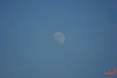 CONCURSO DE TORTILLAS