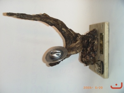 ACTUACIONES Y RECUERDOS