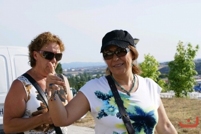 CONCENTRACION CLASICOS