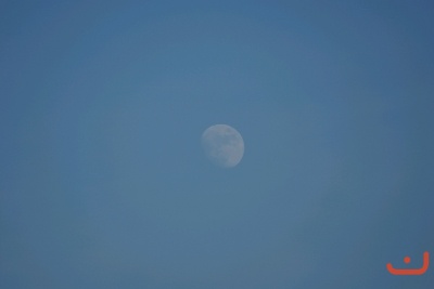 CONCURSO DE TORTILLAS