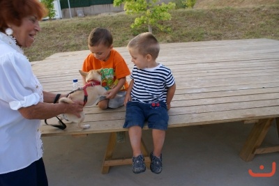 CONCURSO DE TORTILLAS