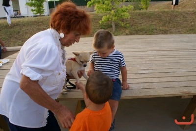 CONCURSO DE TORTILLAS