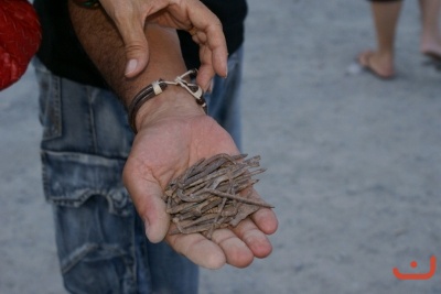 CONCENTRACION CLASICOS