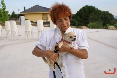 CONCURSO DE TORTILLAS