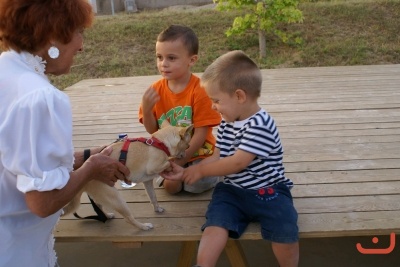 CONCURSO DE TORTILLAS