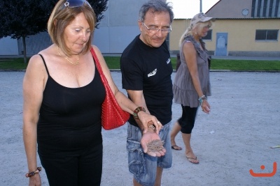 CONCENTRACION CLASICOS