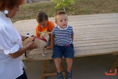 CONCURSO DE TORTILLAS