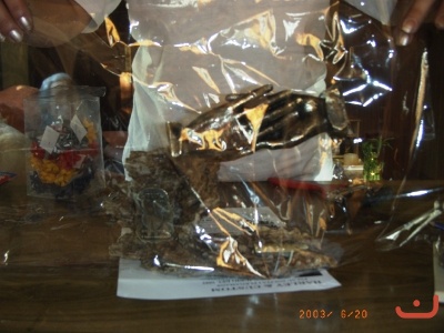 ACTUACIONES Y RECUERDOS